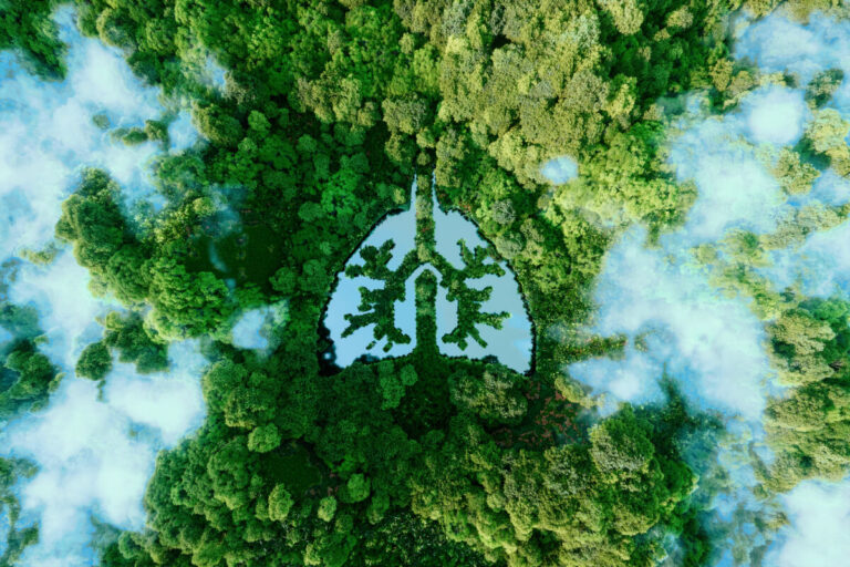 widoczny z góry zielony i gęsty las, otoczony chmurami, po środku lasu widoczne puste miejsce w kształcie ludzkich płuc.