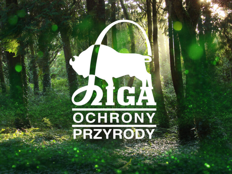 widoczny zielony las z przebłyskami słońca, na tle lasu biały napis "Liga Ochrony Przyrody". W napisie ukryty wizerunek żubra