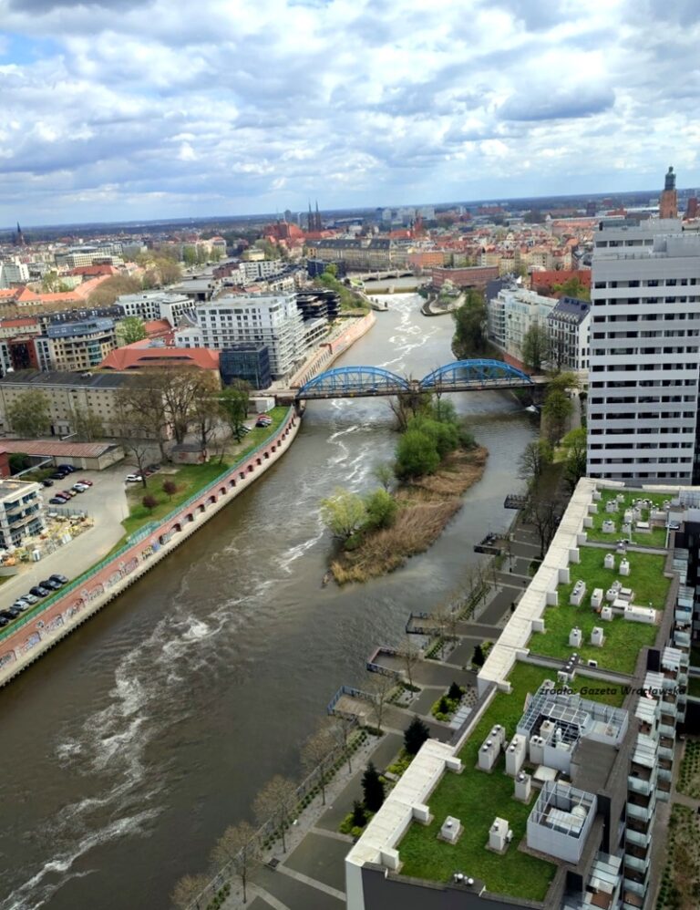 Widoczna z góry rzeka, po środku koryta rzeki widoczna biało-szara piana. Rzeka otoczona zabudowaniami, nad rzeką widoczny most
