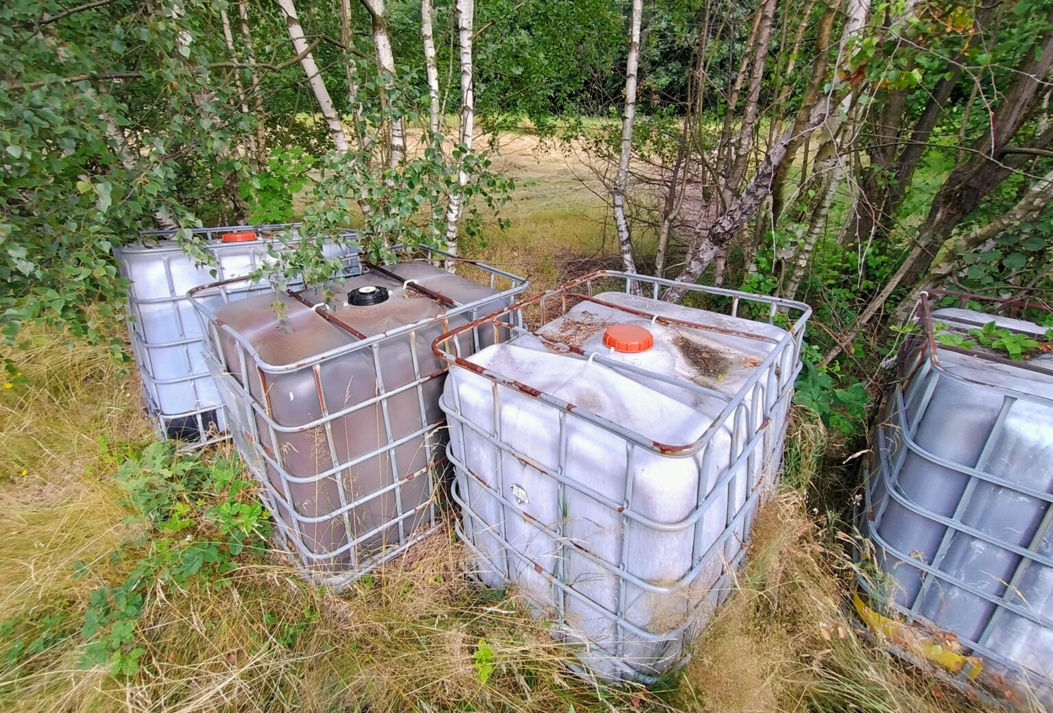Na terenie łąki widoczne są 4 zamknięte mausery, niezabezpieczone przed warunkami atmosferycznymi ani przed dostępem osób trzecich. Jeden, środkowy mauser ma kolor brązowy.
